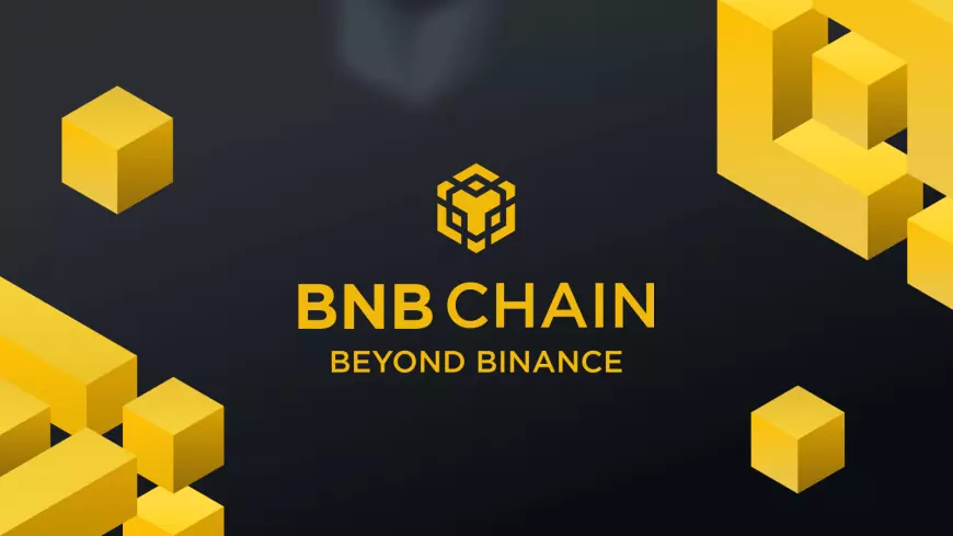BNB Chain Alerts Metamask Bug on opBNB