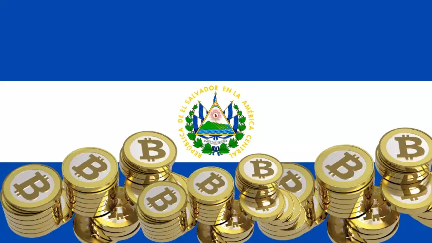 El Salvador's Bitcoin Holdings Shift into Profit Territory